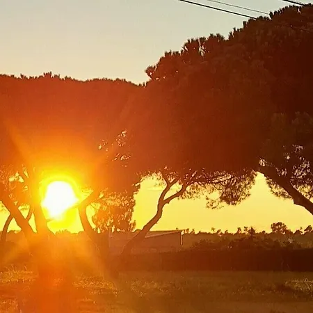 Villa Sublime Sun And Van, By Meco